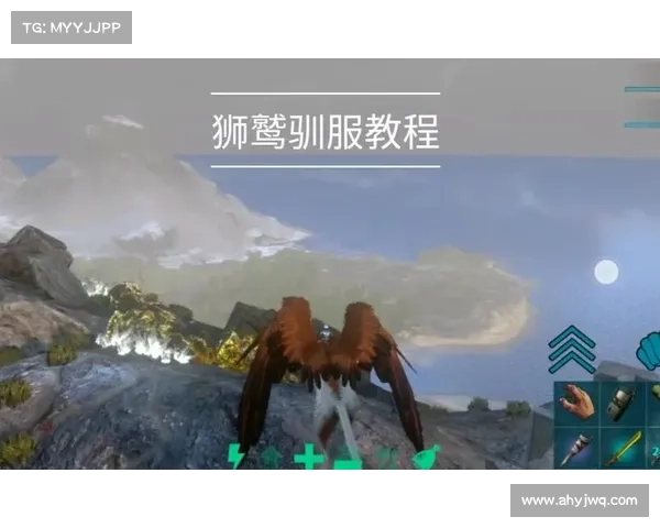 如何有效驯服狮鹫的实用技巧与全面解答指南