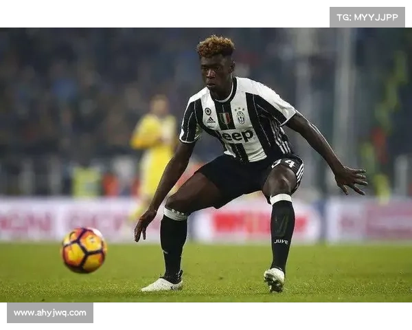 五大联赛对全球足球发展与市场化进程的深远影响分析 五大联赛对全球足球发展与市场化进程的深远影响分析